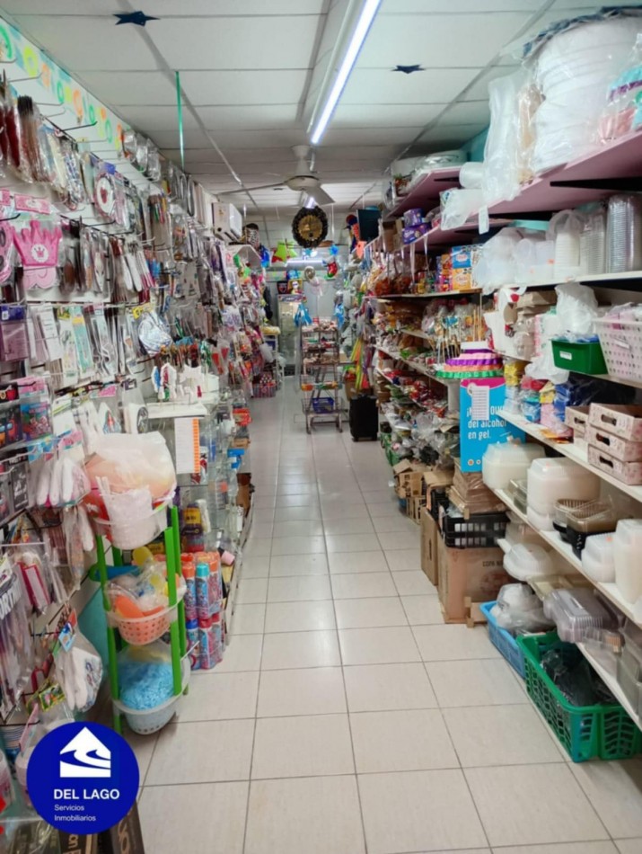 PROPIEDAD + LOCAL COMERCIAL EN VENTA